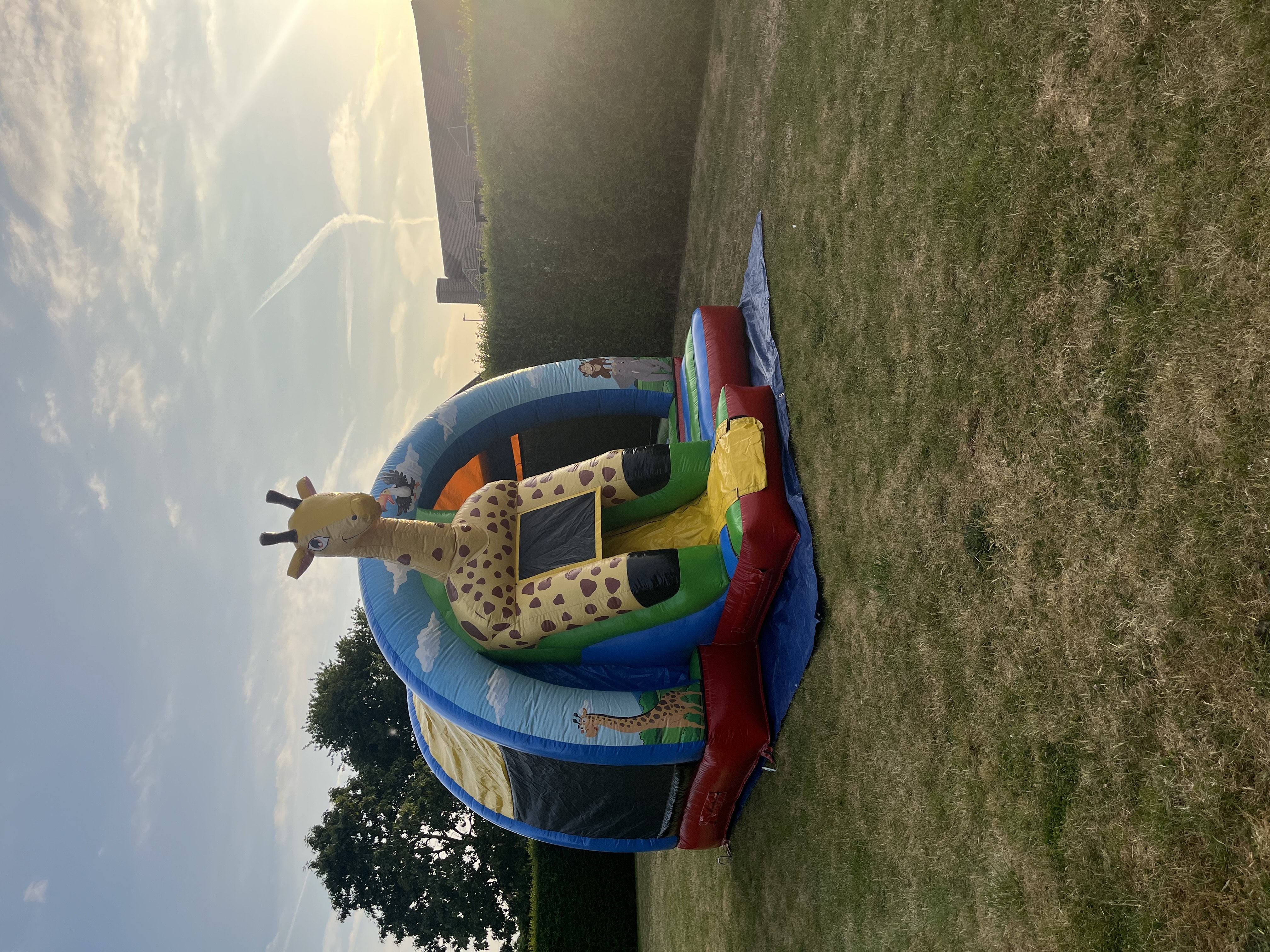 Giraffe Springkasteel